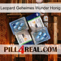Leopard Secret Miracle Honey viagra5